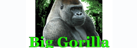 Biggorilla